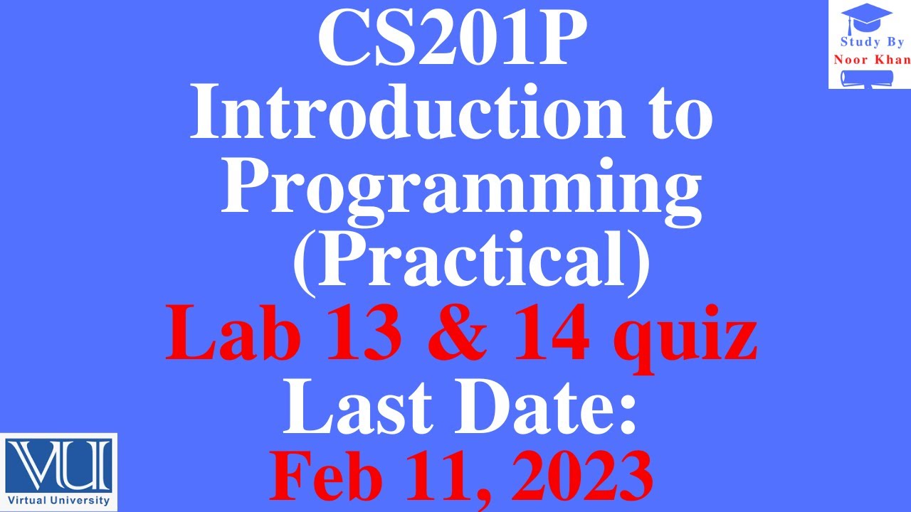 CS201P - Introduction to Programming Lab 13 and 14 quiz solution 2023| CS201P Lab 13 and 14 quiz