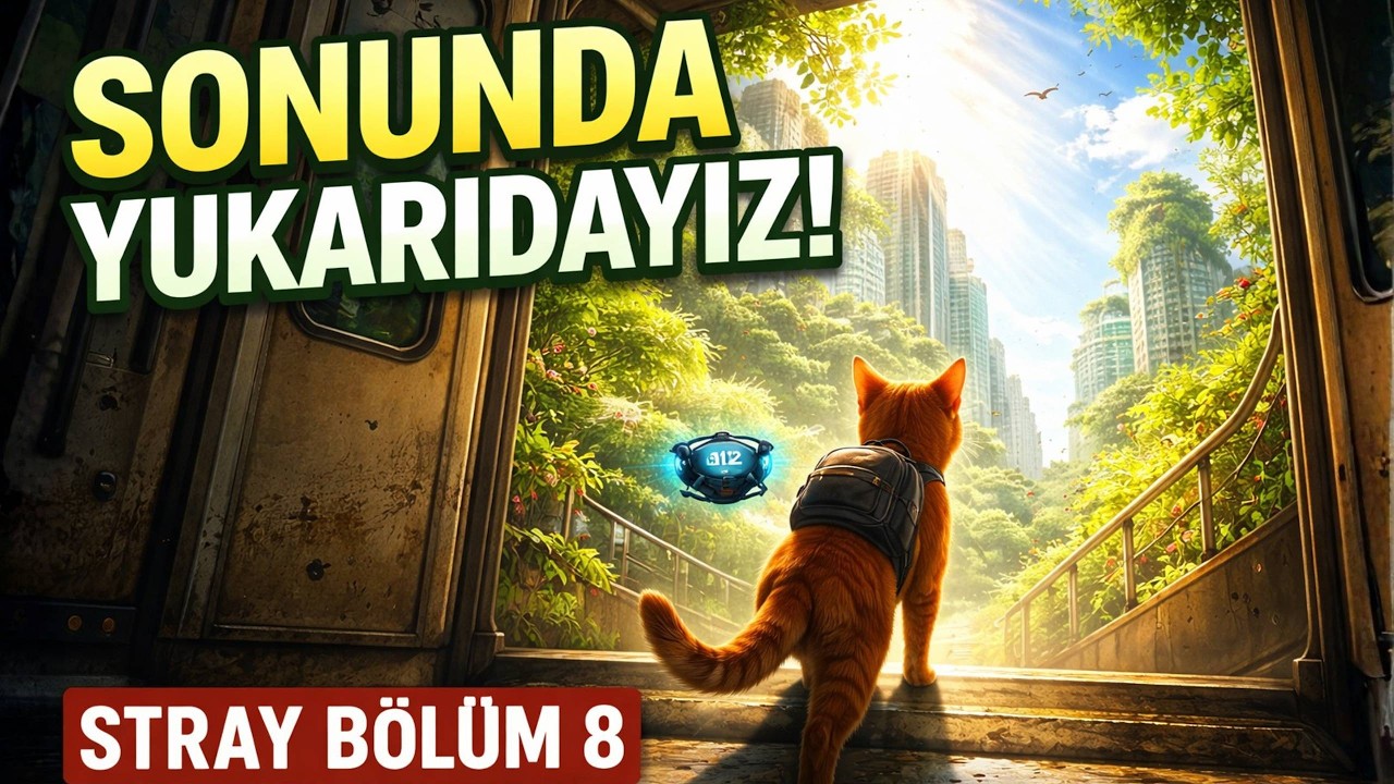 SONUNDA YUKARI ÇIKTIK! Metro Bizi Gerçek Dünyaya Getirdi | Stray Bölüm 8