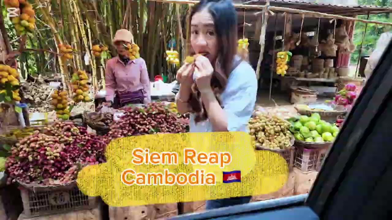 Angkor Road siem reap 2026#travelvlog 
