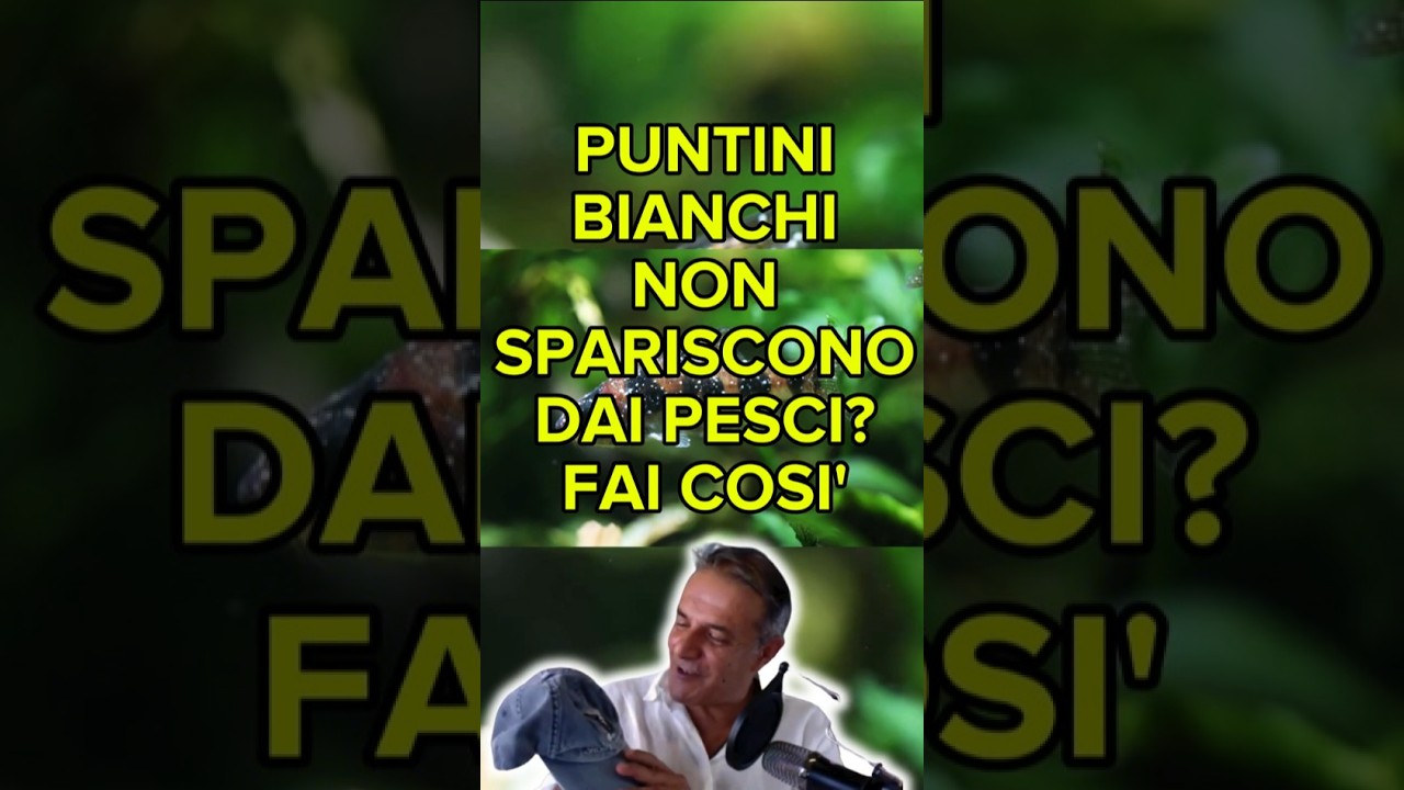 🚑🐟 Puntini Bianchi: Come Riconoscere e Curare l’Ictio