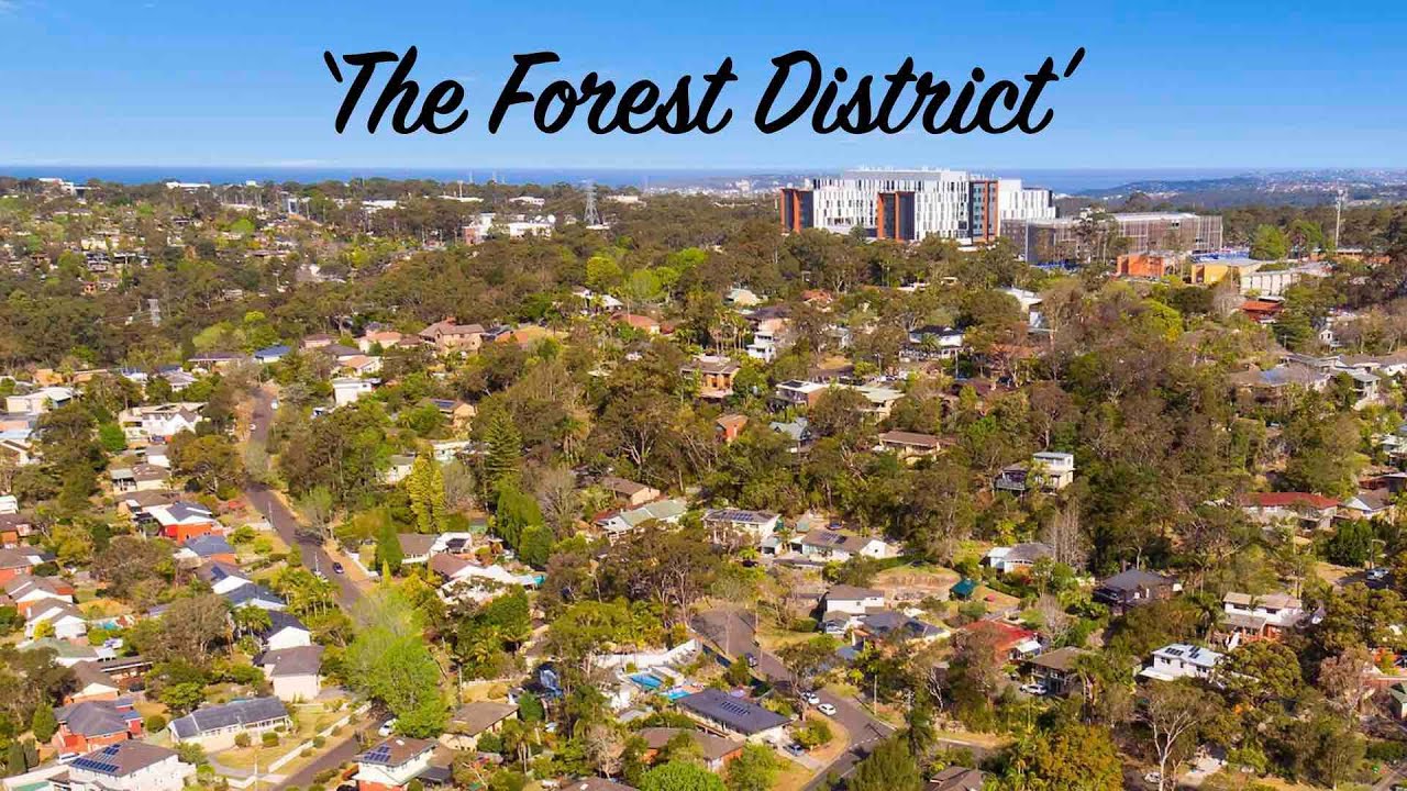 The Forest District
