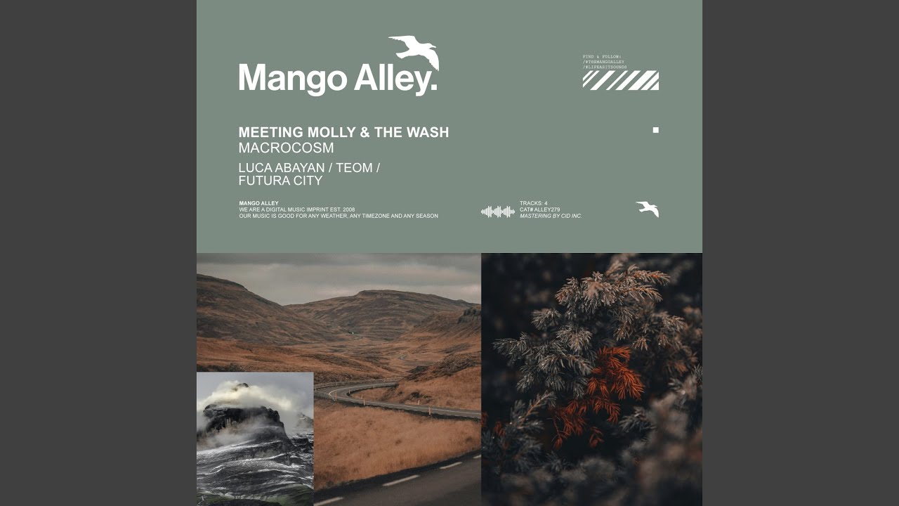 Macrocosm (Luca Abayan Remix)