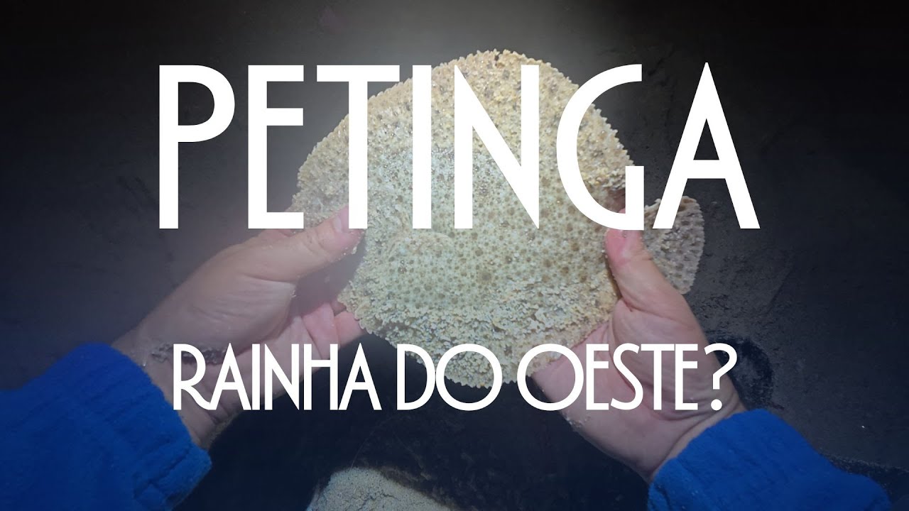 PETINGA ! Rainha do OESTE?
