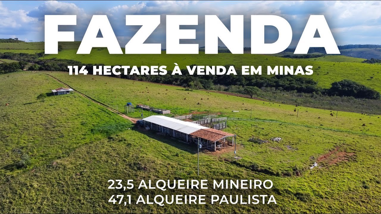 EXCELENTE FAZENDA 114 HECTARES, PLANTIO E PECUÁRIA - MINAS GERAIS