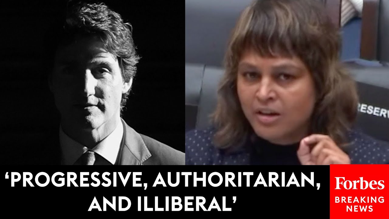 JUST IN: Journalist Warns Of 'Creepy Authoritarianism' In Canada At Weaponization Committee