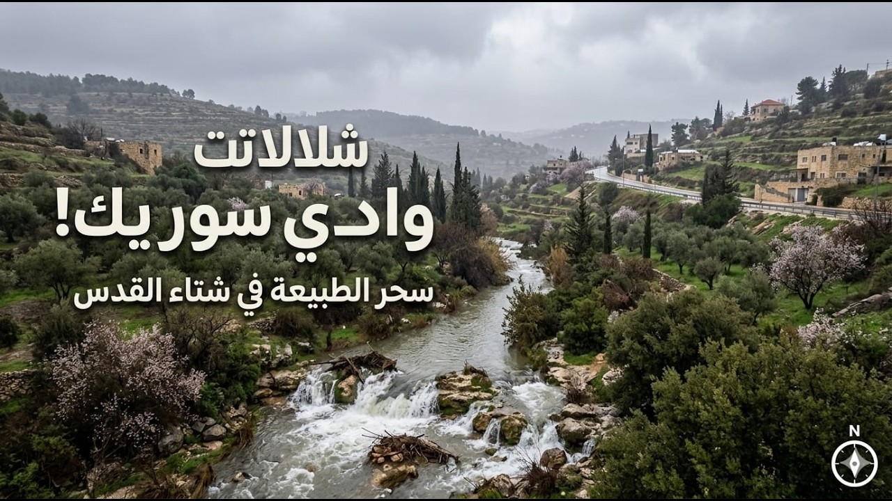 توثيق شتاء 2026 #القدس #شتاء_2026 #امطار #اكسبلور #استكشاف