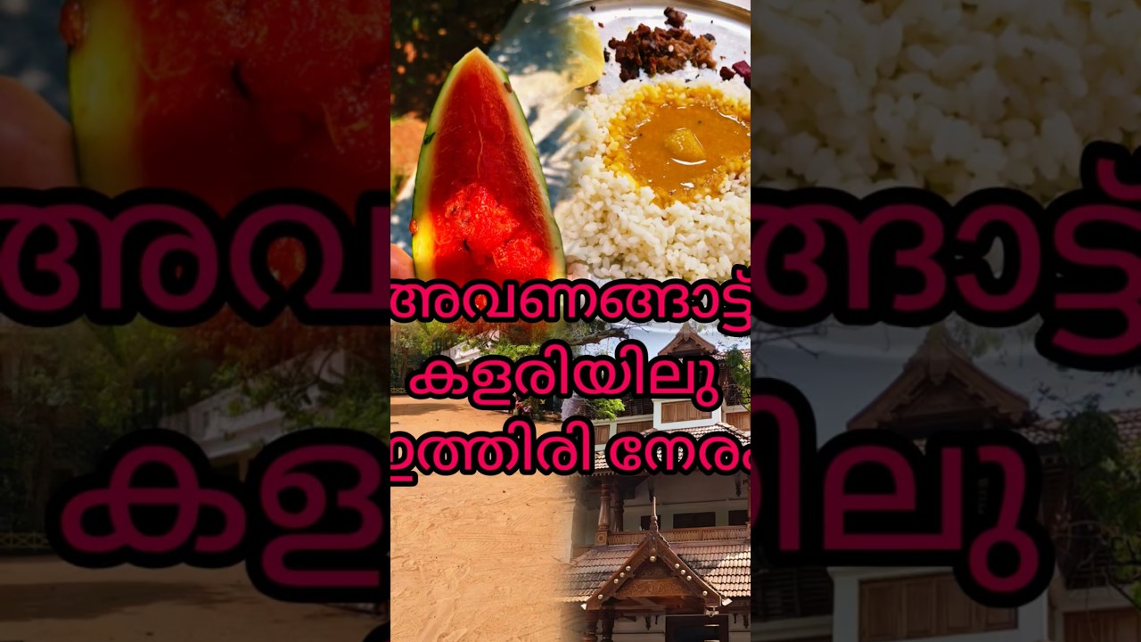 Annadaan @ avanangattu temple|Annadaan Mahadaan #youtubeshorts