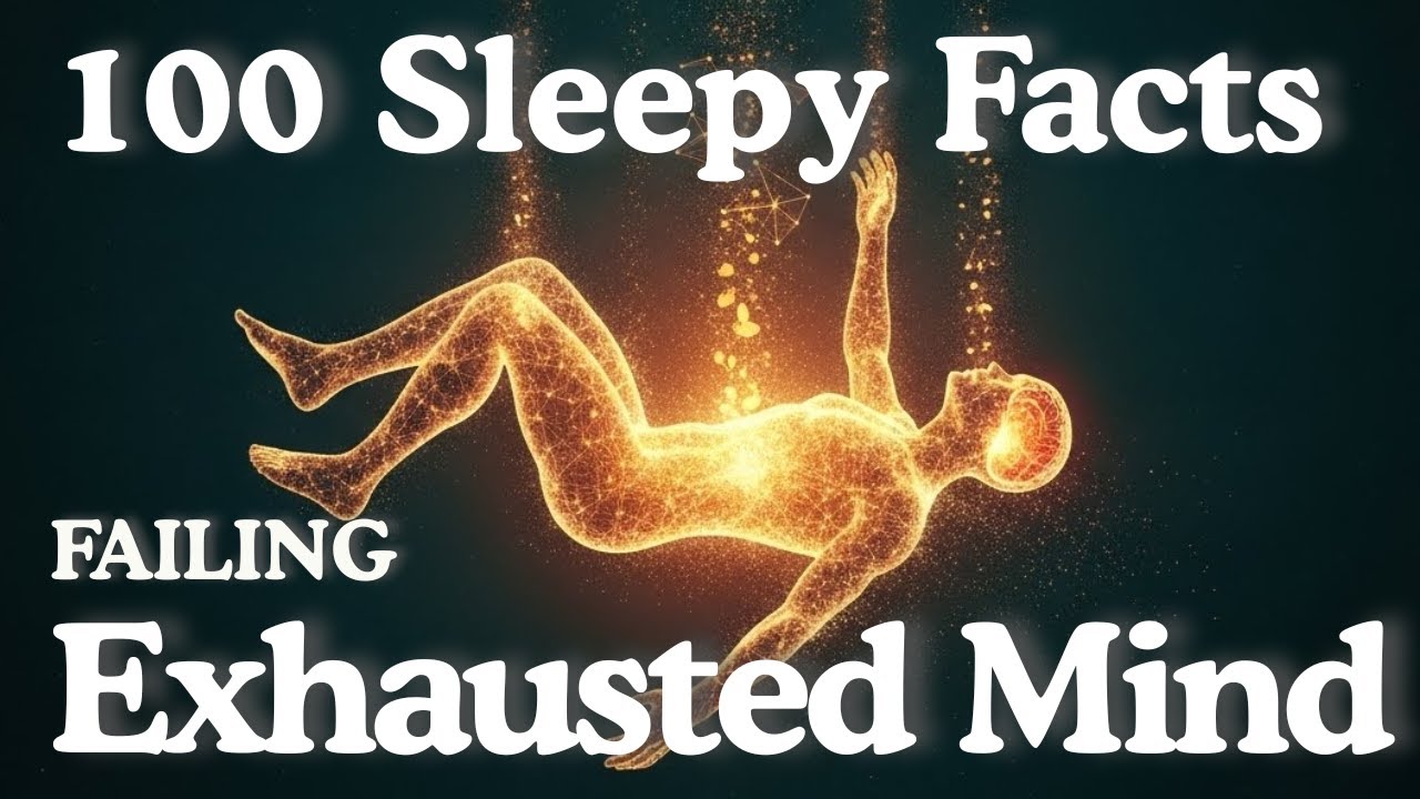 What Happens to Your Brain During 24 Hours Without Sleep? Psychology of Exhaustion