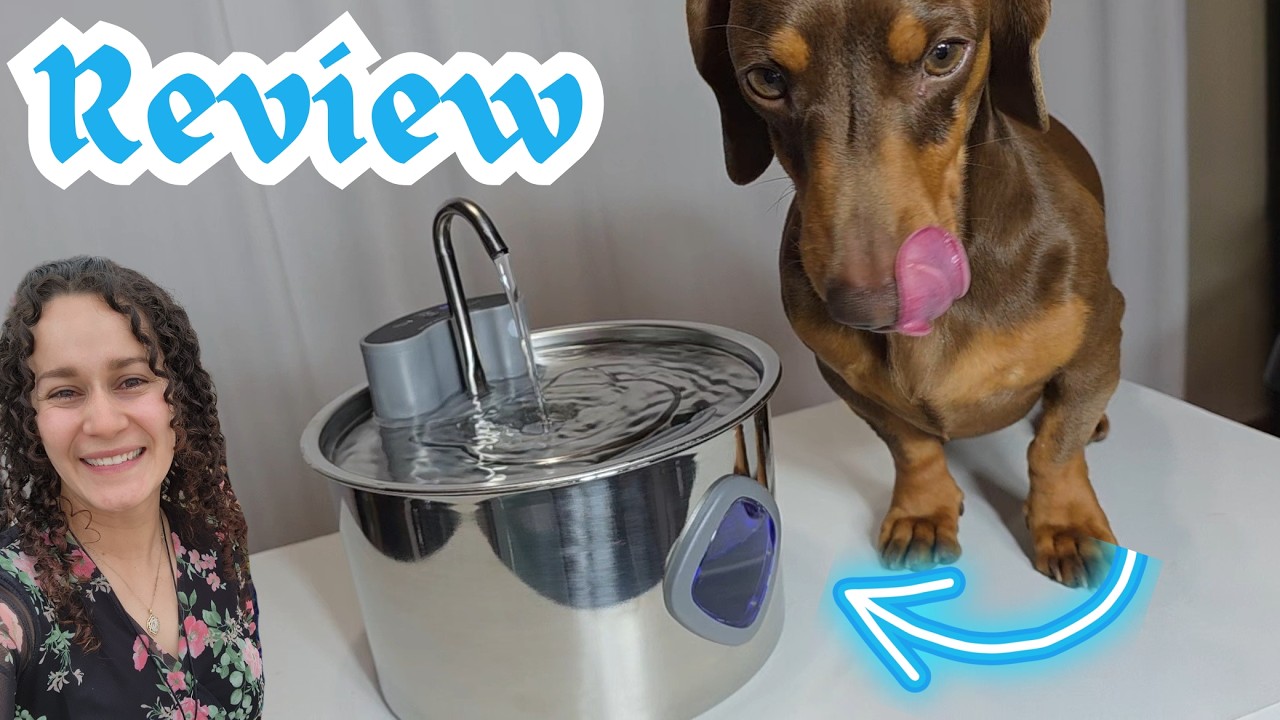 Review- Cordless Pet Water Fountain