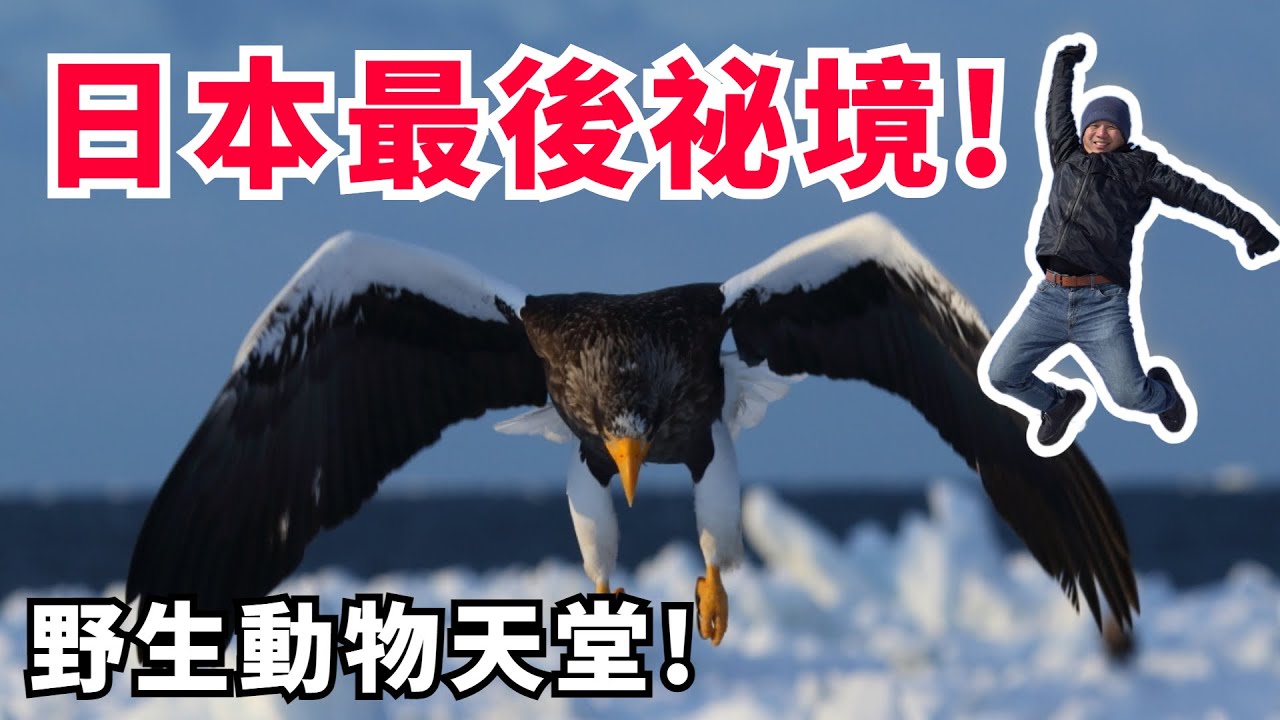 【世界自然遺產】此生必來的日本最後秘境