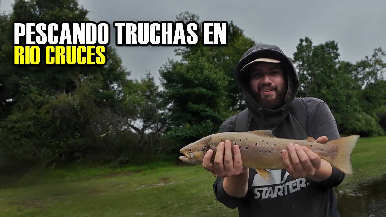 PESCANDO TRUCHAS EN RIO CRUCES