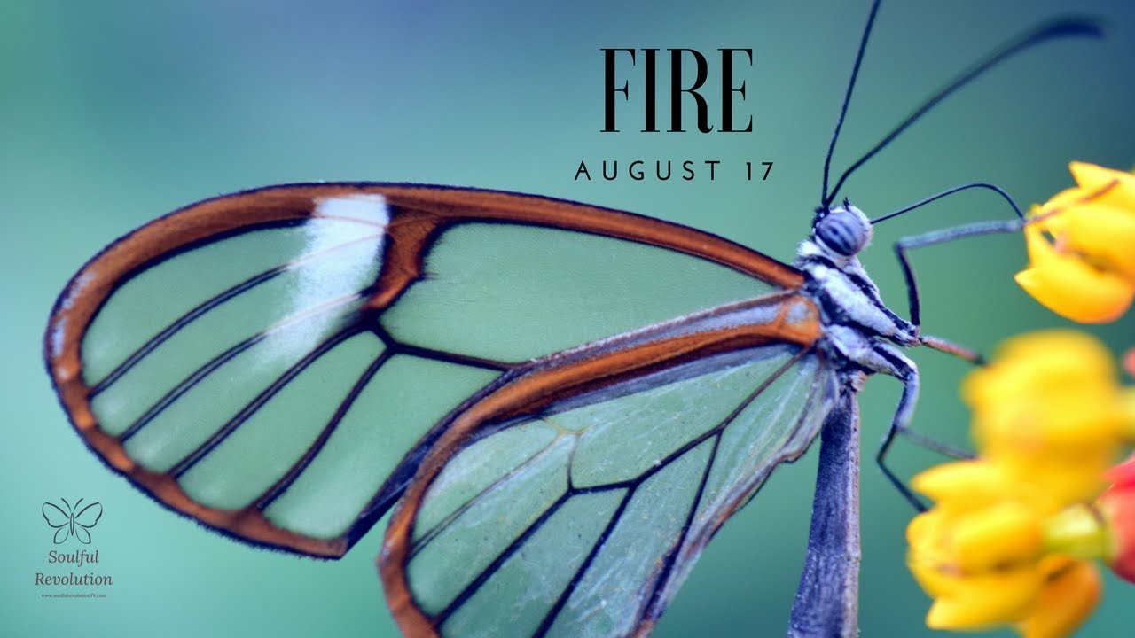 Something AMAZING is happening, FIRE Sign August 17 Aries Leo Sagittarius