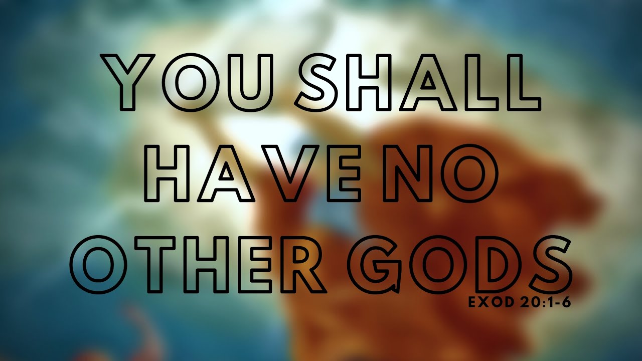 You Shall Have No Other Gods - David P. Gushee