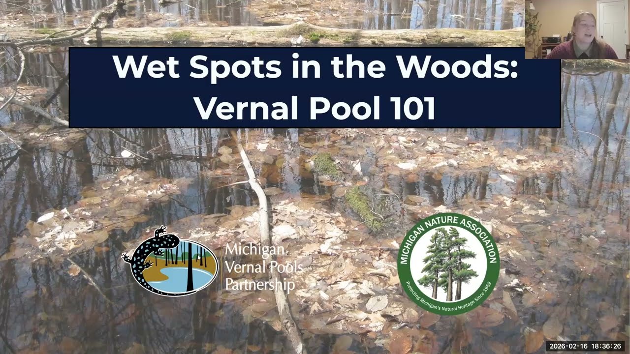Wet Spots in the Woods: Vernal Pools 101