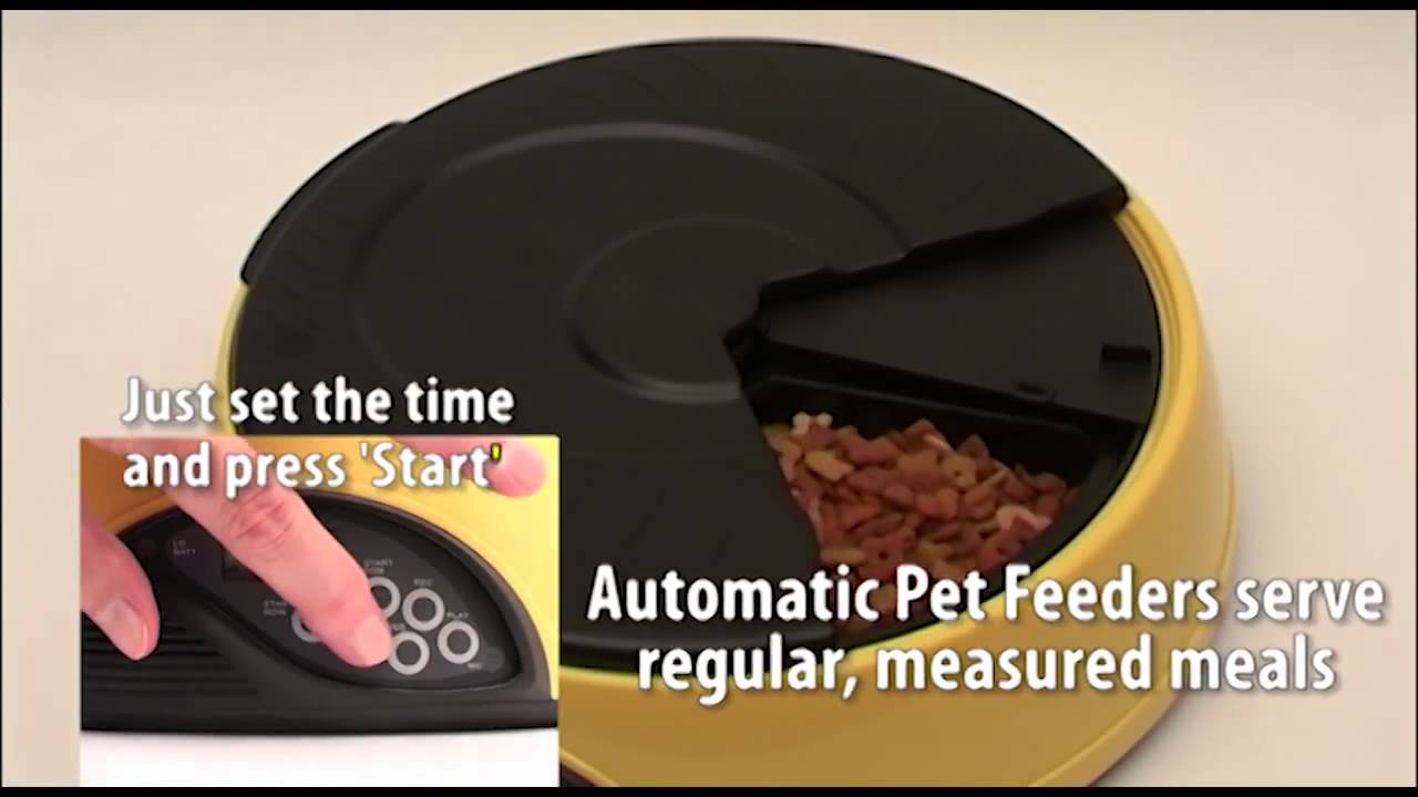 Pet Product Video