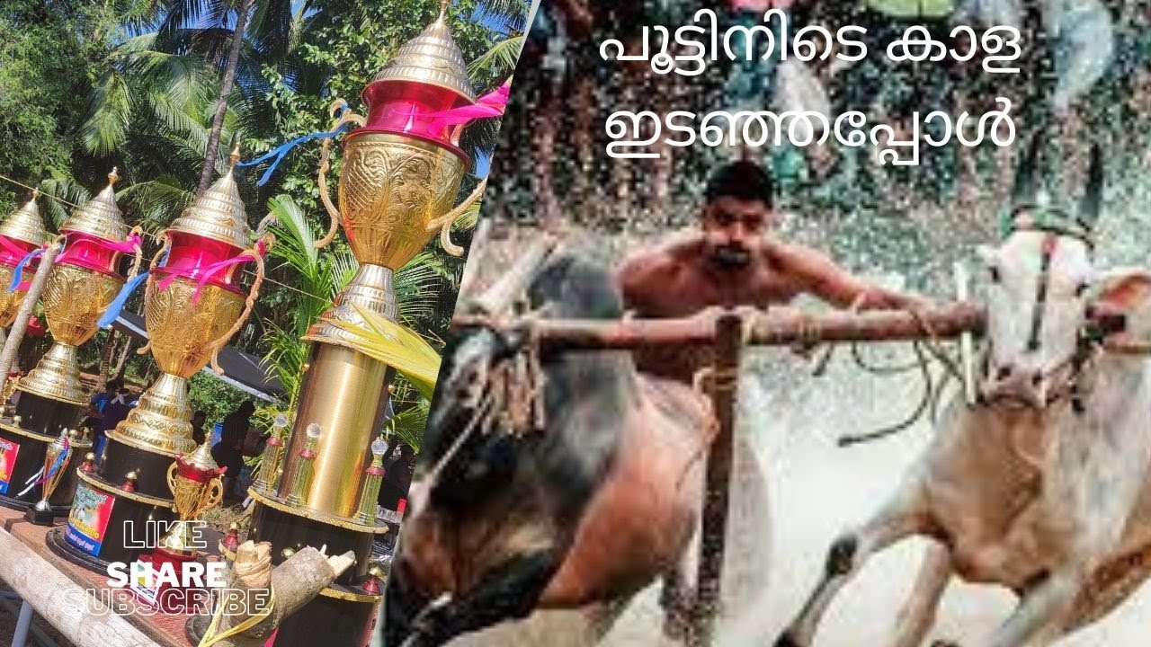 Kalapoot malsaram Perunthalloor