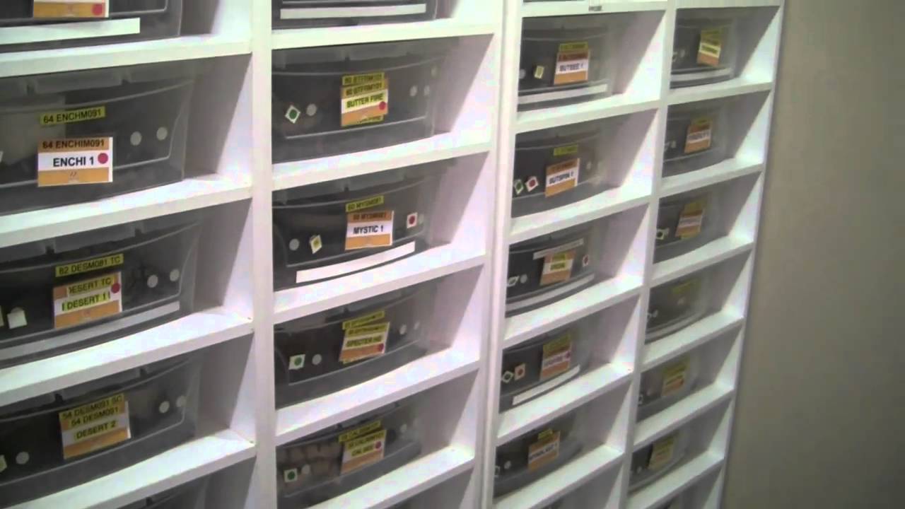 Facility Tour.mov