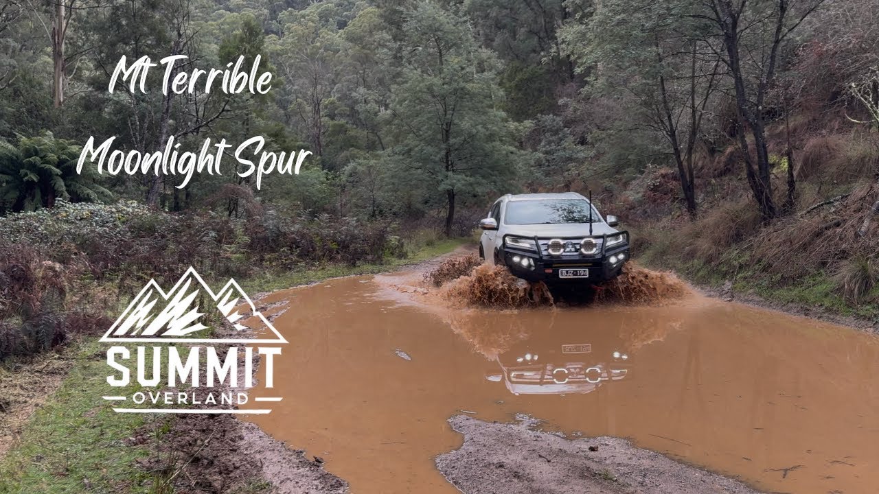 Mount Terrible & Moonlight Spur Track