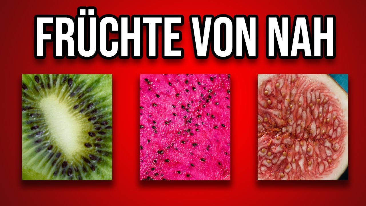 in 5 SEKUNDEN | leicht bis schwer | Früchte QUIZ