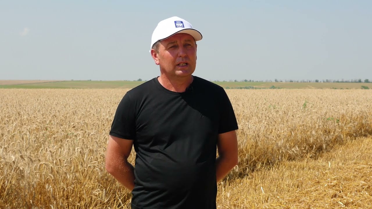 Вирощування озимої пшениці у ФГ 