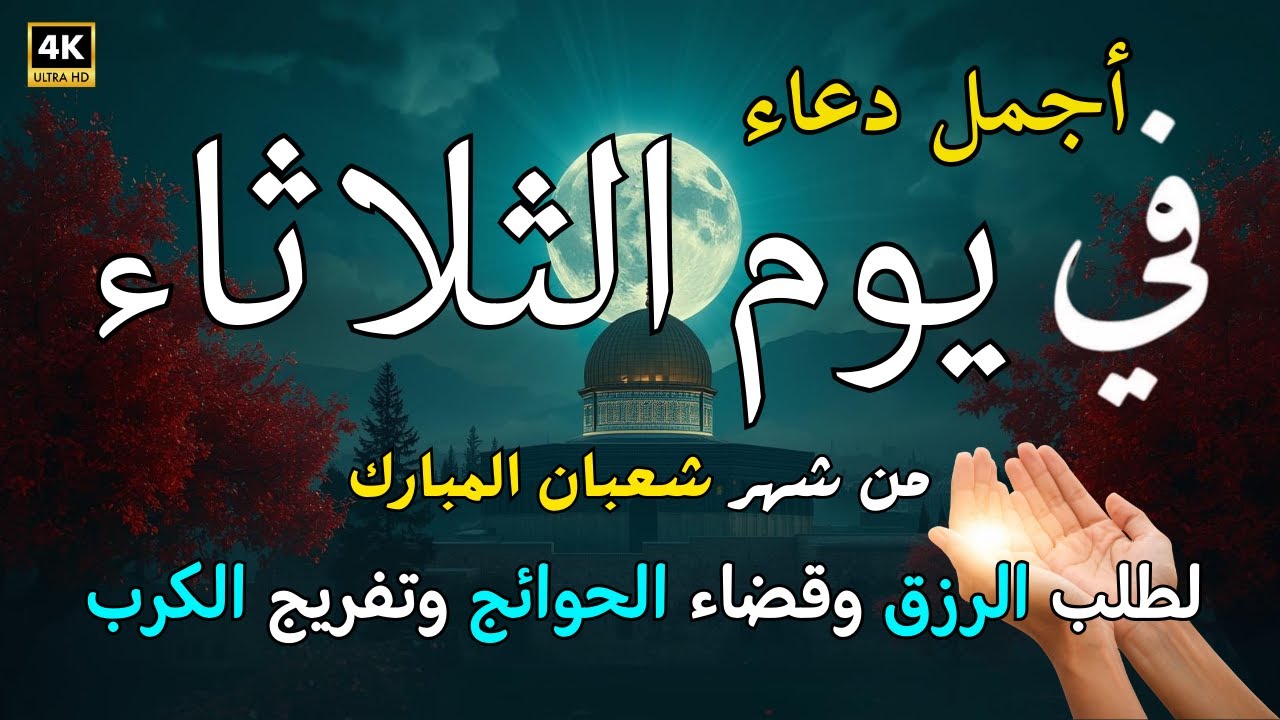 دعاء فى يوم الثلاثاء المستجاب دعاء في يوم 22 من شهر شعبان للرزق والشفاء العاجل وقضاء الحوائج 🤲(4k)