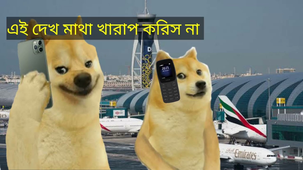 হোসেন বদ্দার ইন্দো ব্রাজিল গরু | Prank Call | mr. kashem | chittainge tv