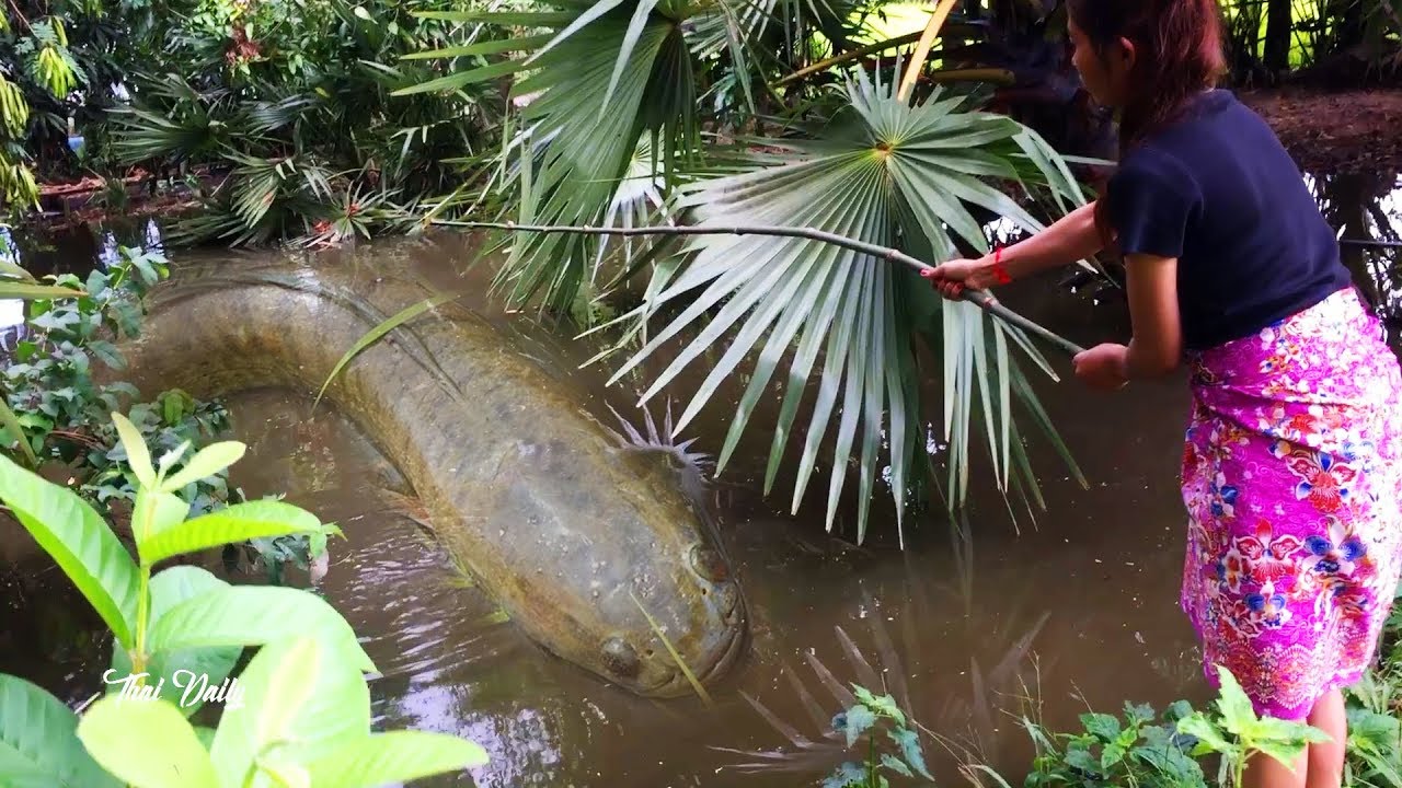 Pesca increíble ! Las mujeres capturan muchos peces / pesca tradicional asiática