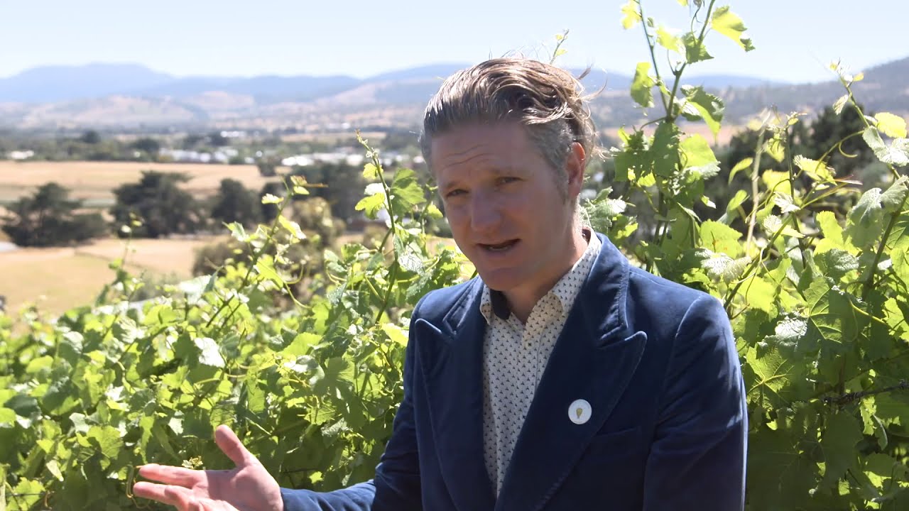 Tassie grapes are precious!