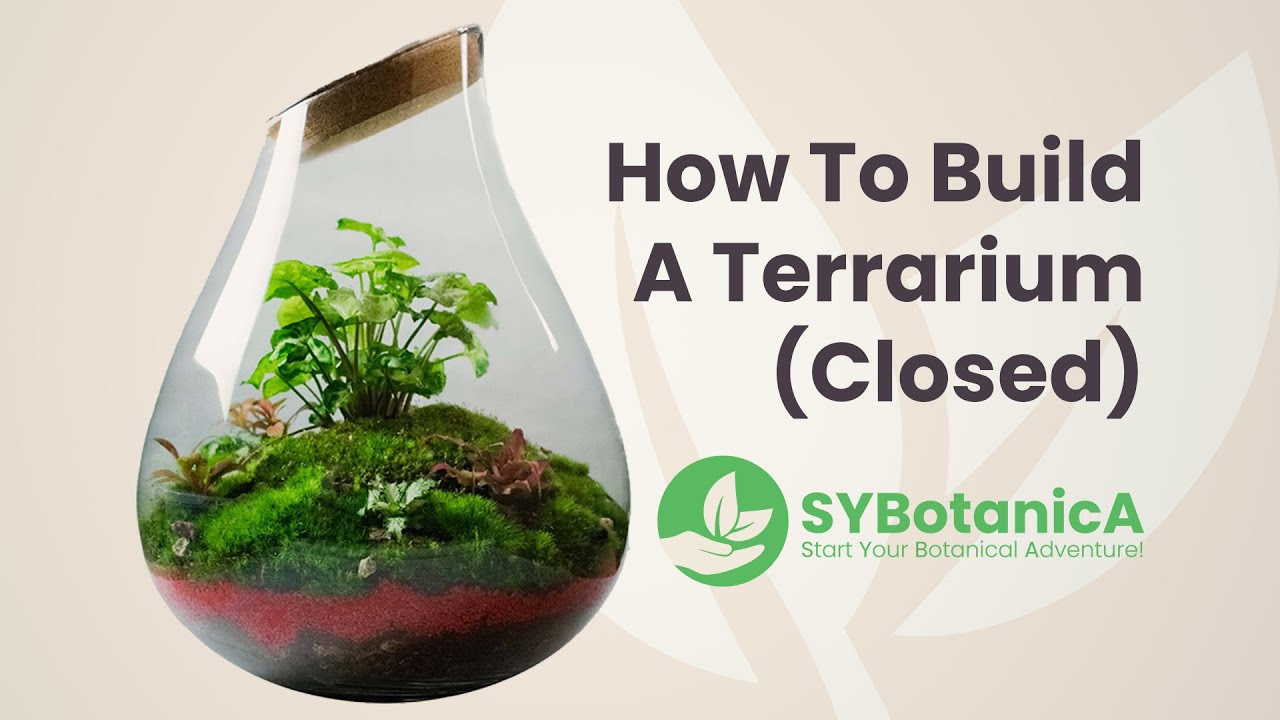 How To Build A Closed Terrarium