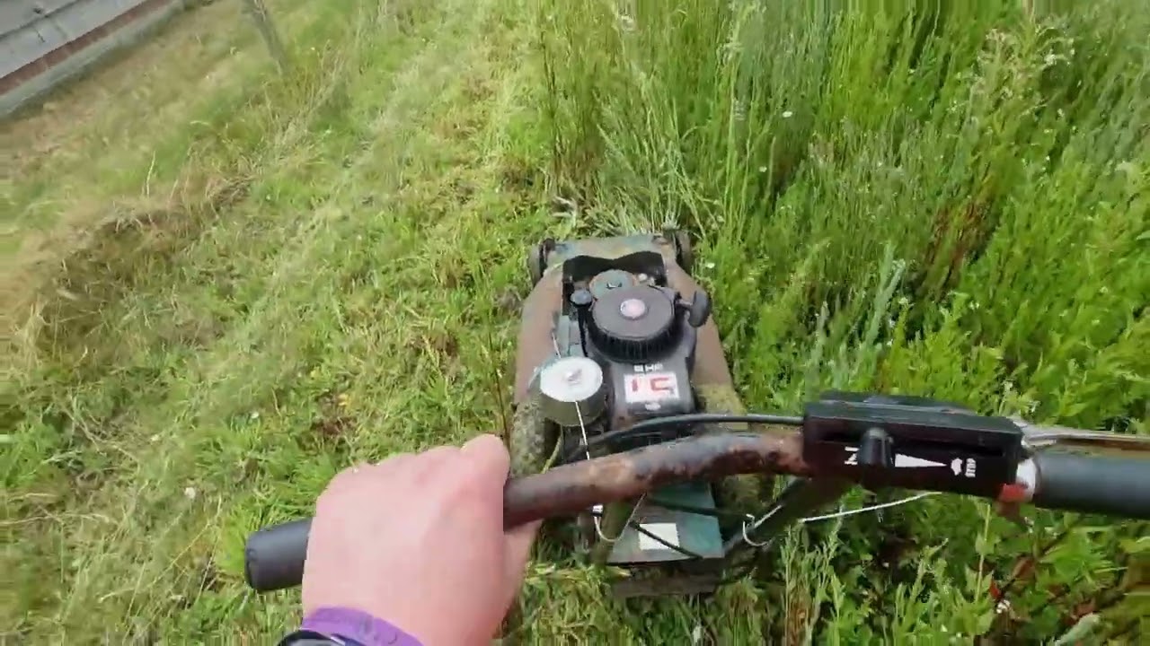 Hayter 21 Osprey 5HP Cutting Grass weeds.