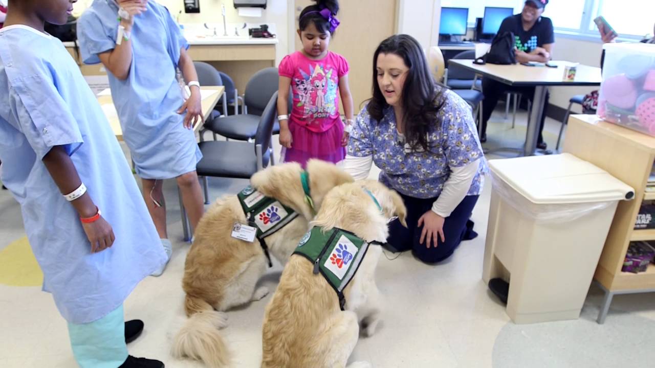 Pet-Assisted Therapy at Children’s Health