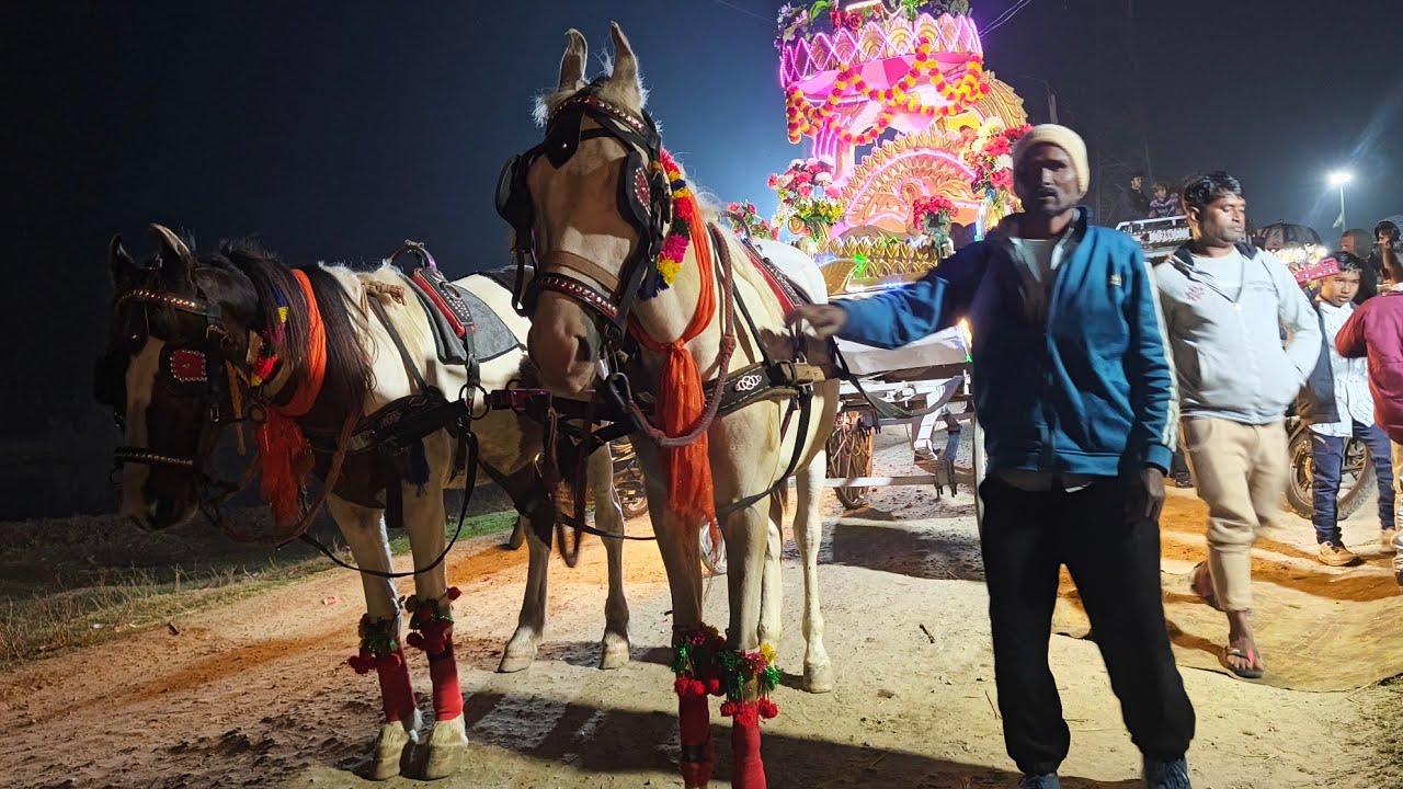 Rehan Bhai Buggy Tulsipur 📍| 9026239698-8112389624 | Shadi Main Buggy |