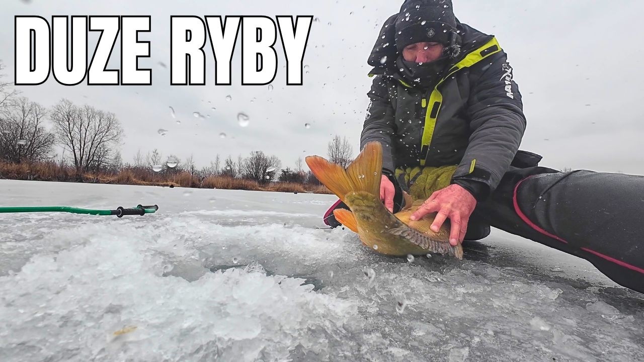 DUŻE RYBY spod lodu! Moja taktyka i sprzęt 🎣🐟