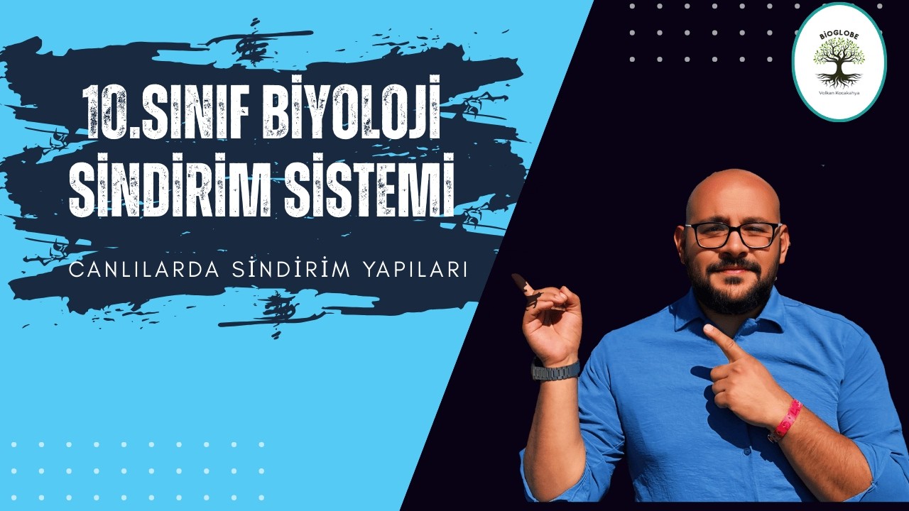 10.Sınıf Biyoloji -Canlılarda sindirim sistemleri (Yeni maarif modeline uygun)