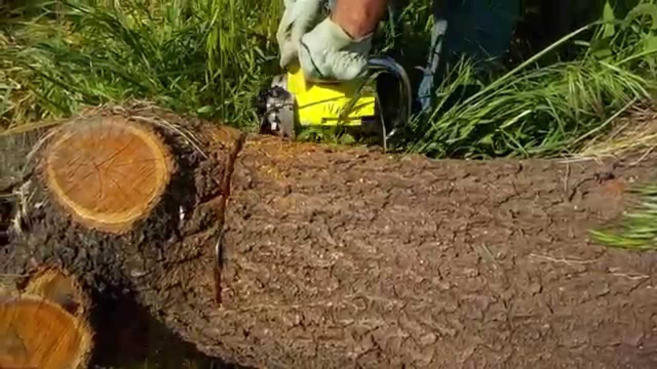 Petite et ancienne tron&ccedil;onneuse SKILL contre un gros tronc d'arbre...1er partie