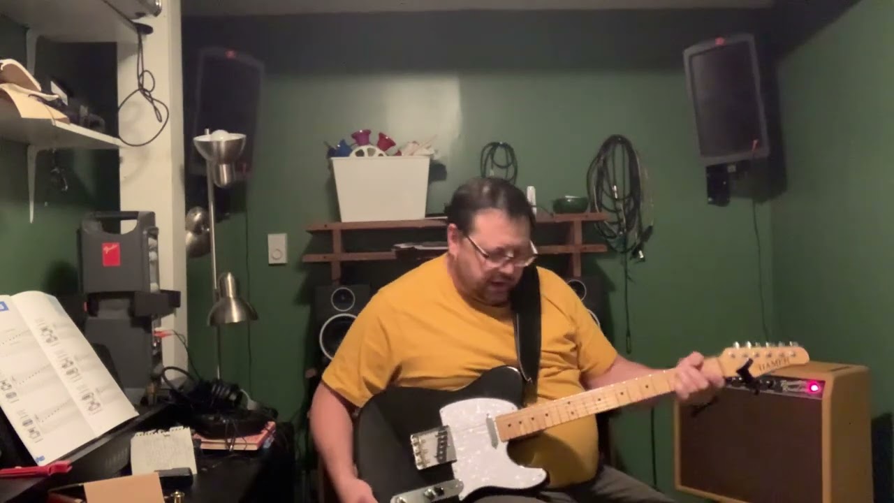 Fender FSR Princeton  with 12&rdquo; Cannabis Rex speaker mini demo