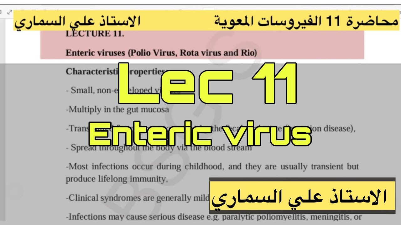 محاضرة الفيروسات المعوية Enteric viruses/قسم التحليلات المرضية / الاستاذ علي السماري