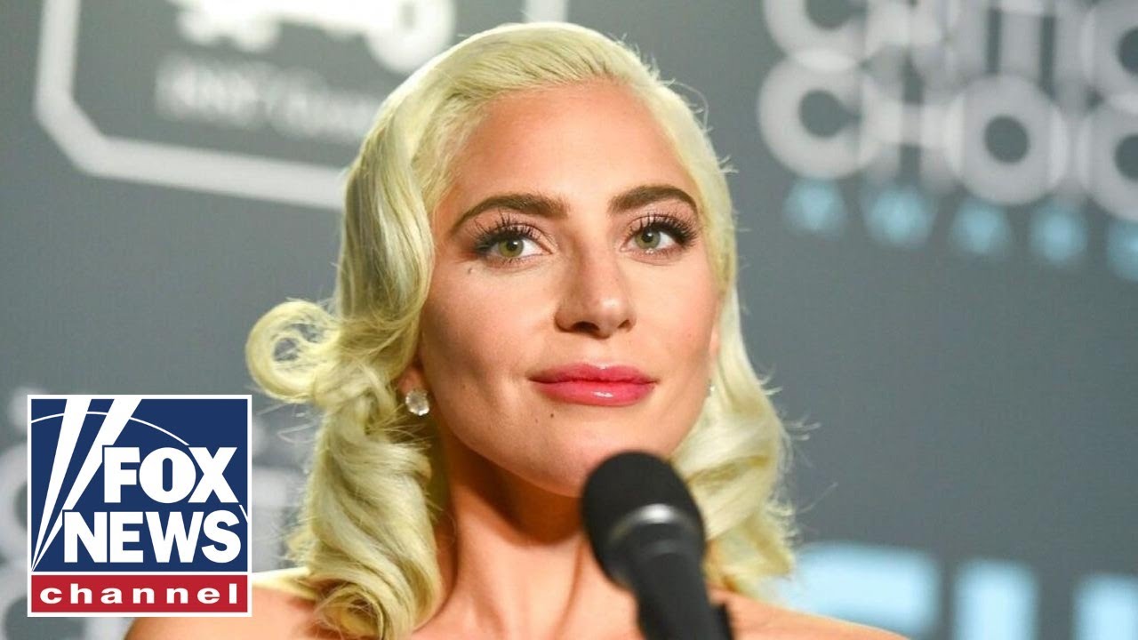 Lady Gaga offers $500K reward for stolen dogs