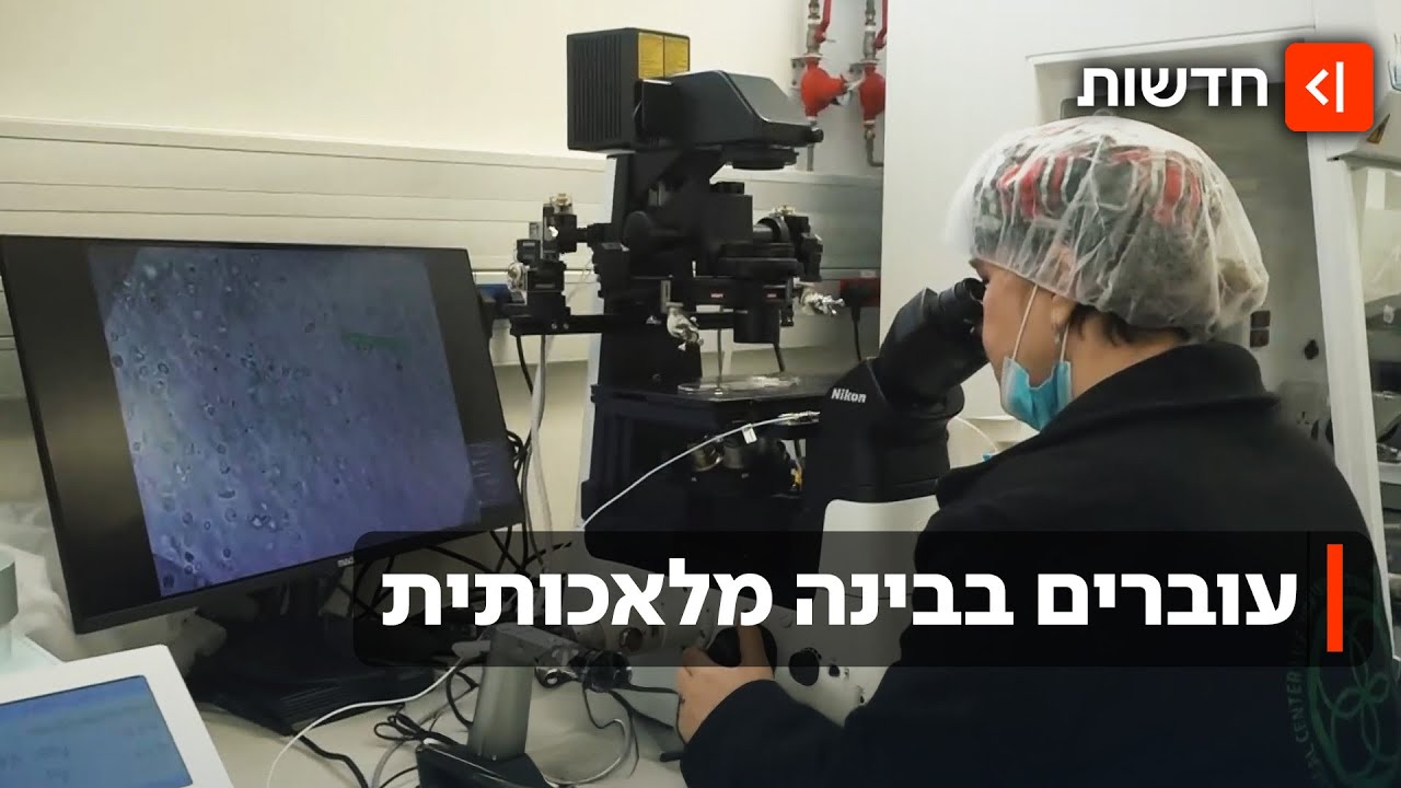 לא רק מקפים ארוכים: כך ה-AI משפר את הסיכוי להיריון בהפריה חוץ-גופית