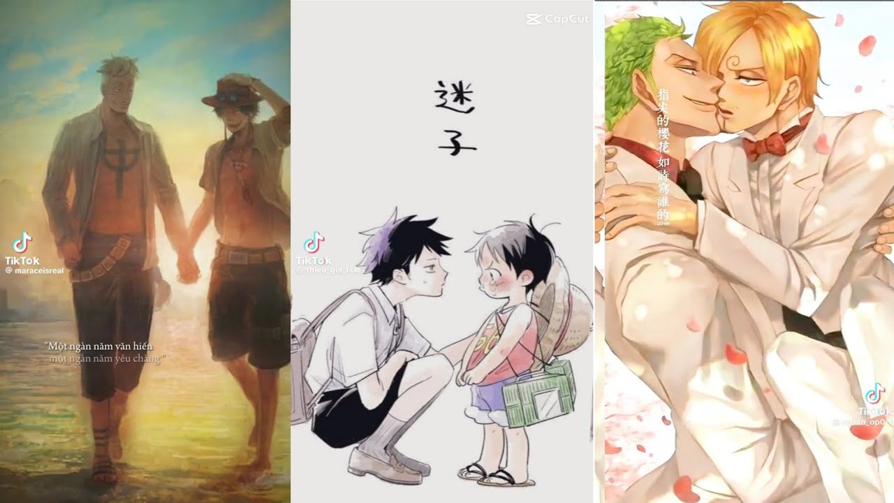 [Đam Mỹ] Tik tok One Piece OTP #43