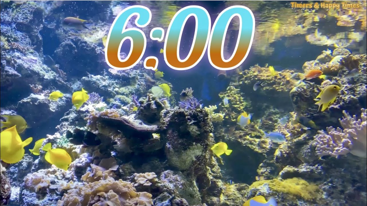6 Minute Aquarium Timer/Countdown With Relaxing Music 🐟🐠|Cuenta Regresiva de 6 Minutos con M&uacute;sica.