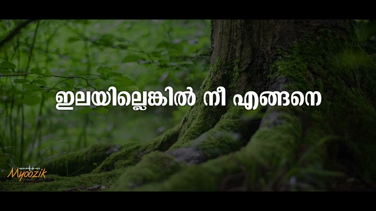 ILAYILLENKIL NEE ENGANE KARAOKE WITH LYRICS I AHMAD MOINUDHEEN I #ilayillenkil #malayalamgazal