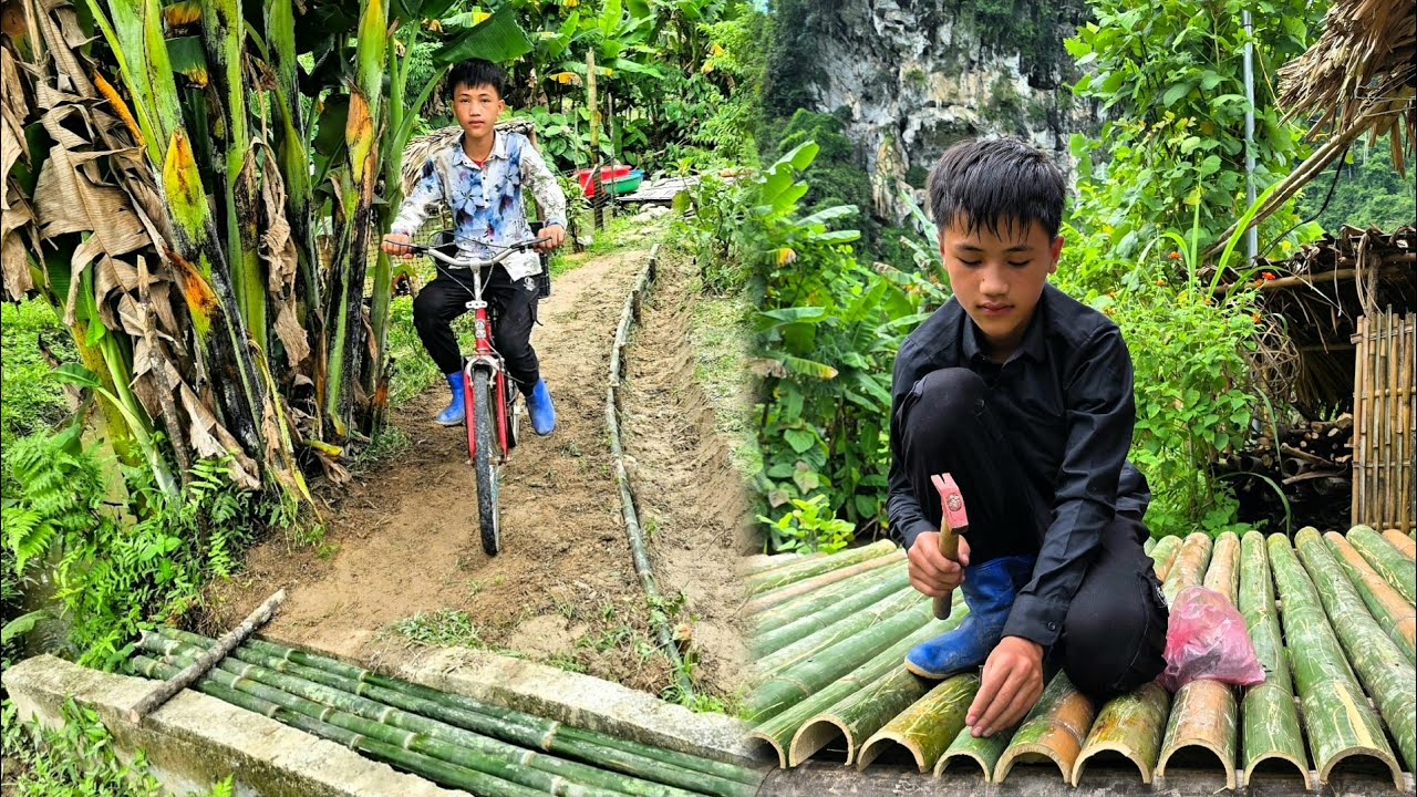 Full video: Nam's boy builds a farm. Gardening. Harvests vegetables and fruits to sell