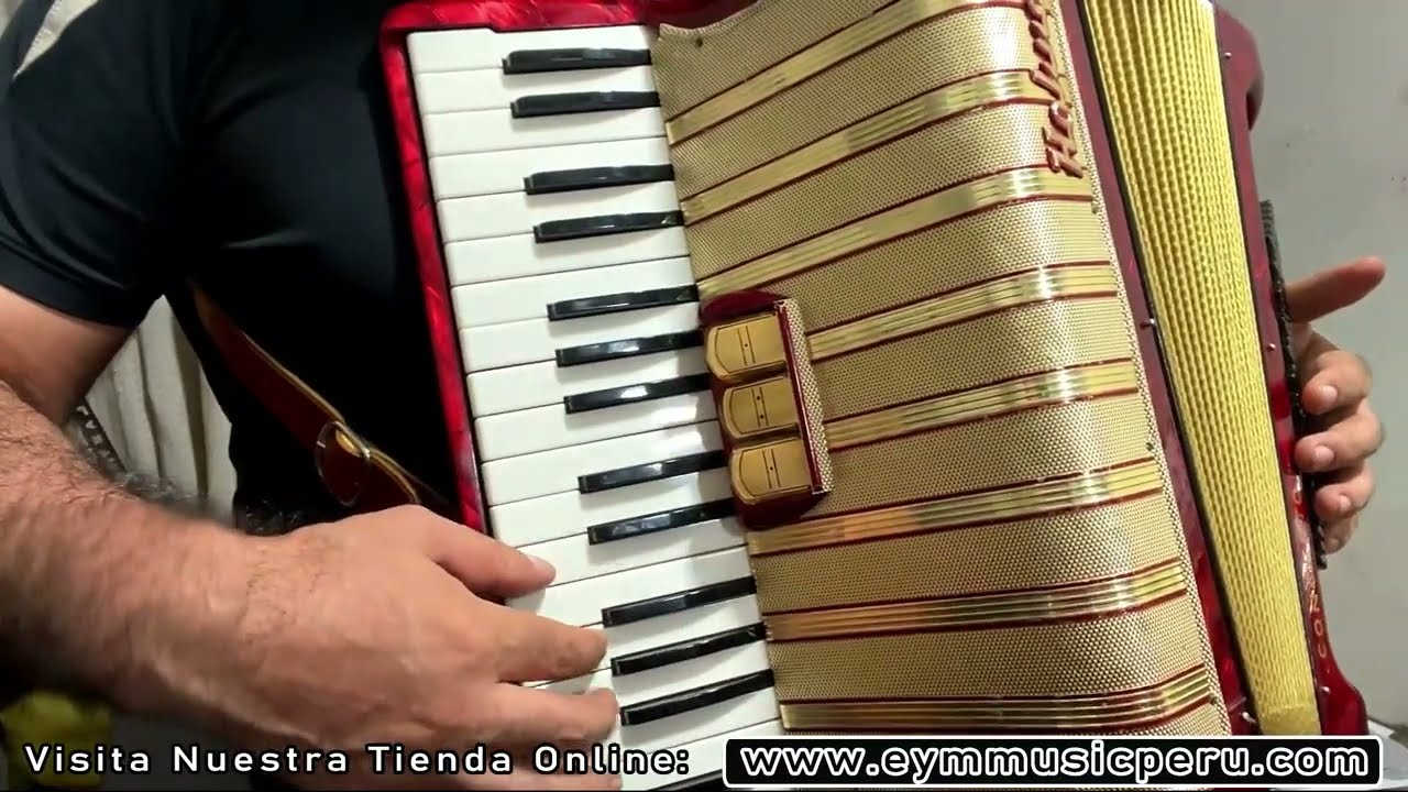 Acordeon Hohner Concerto II (Seminuevo) Importacion Alamana