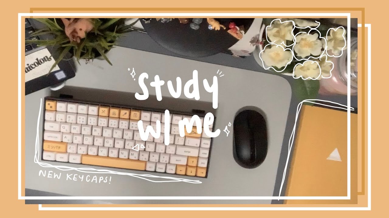 🥛🍯  1 hour real time study with me | lofi music + mechanical keyboard typing asmr (keychron k2)