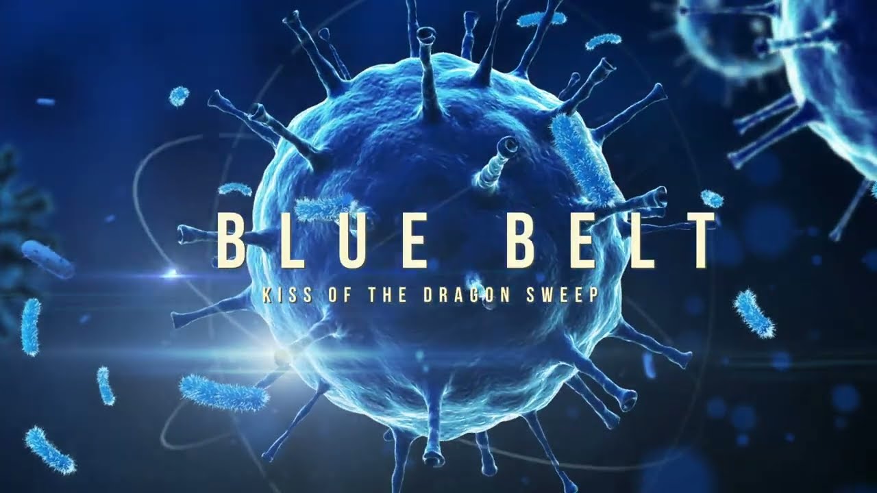 Blue Belt Curriculum - De La Riva - Kiss of the Dragon Sweep