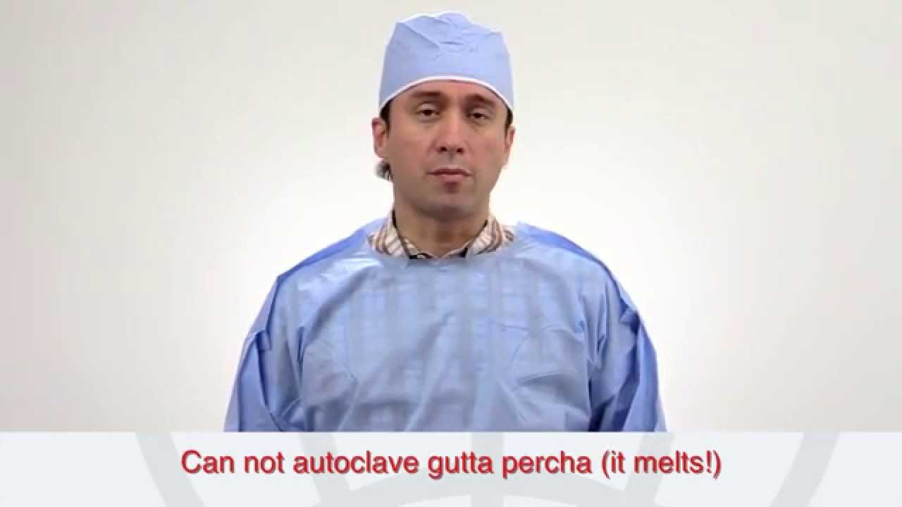Disinfecting Gutta Percha Prior to Root Canal Obturation