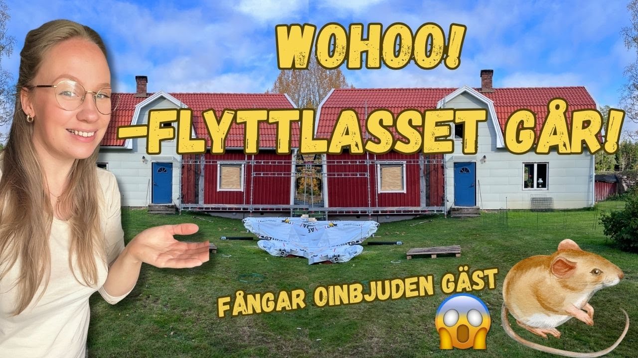 DEN STORA FLYTTVLOGGEN!❤️