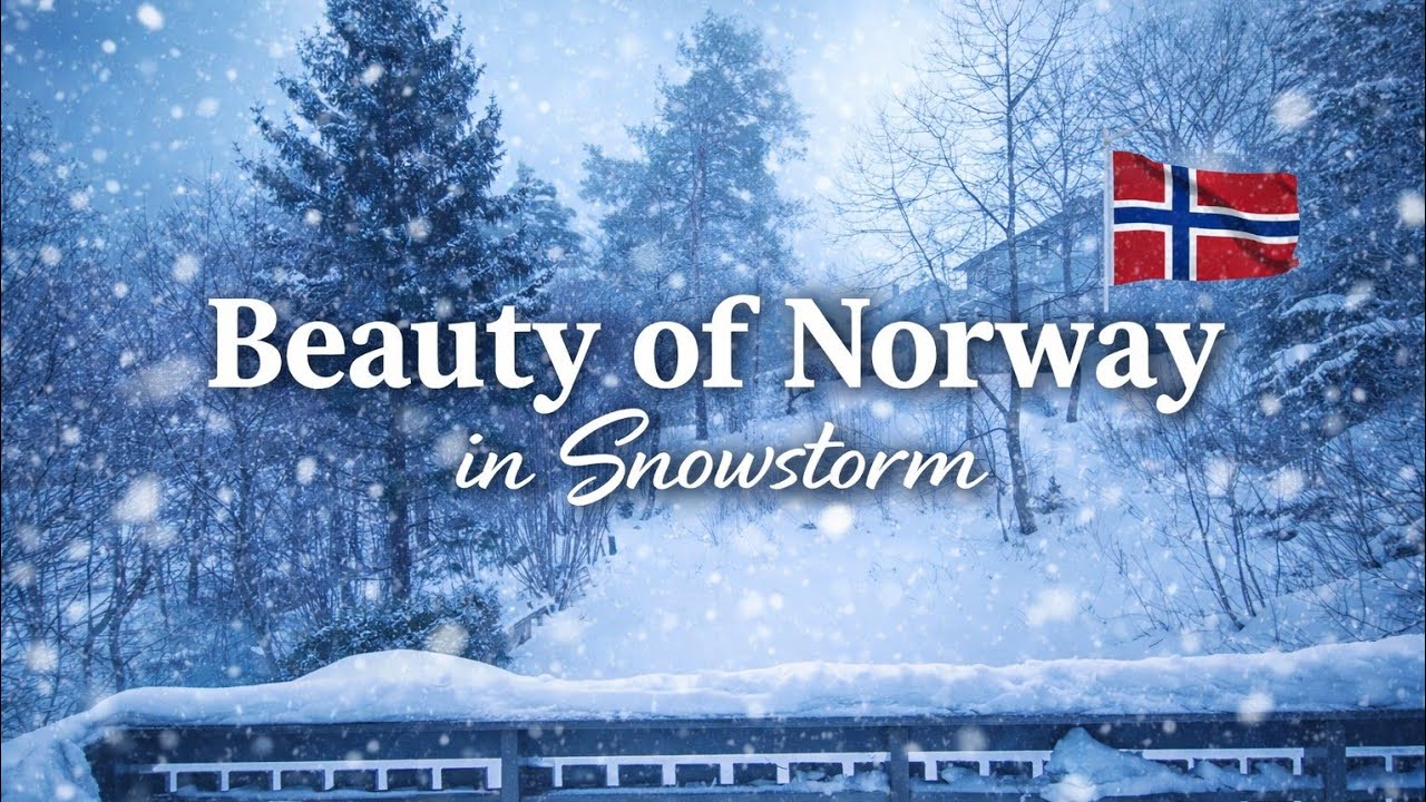 ❄️ COZY BLIZZARD: Relaxing Snowstorm View
