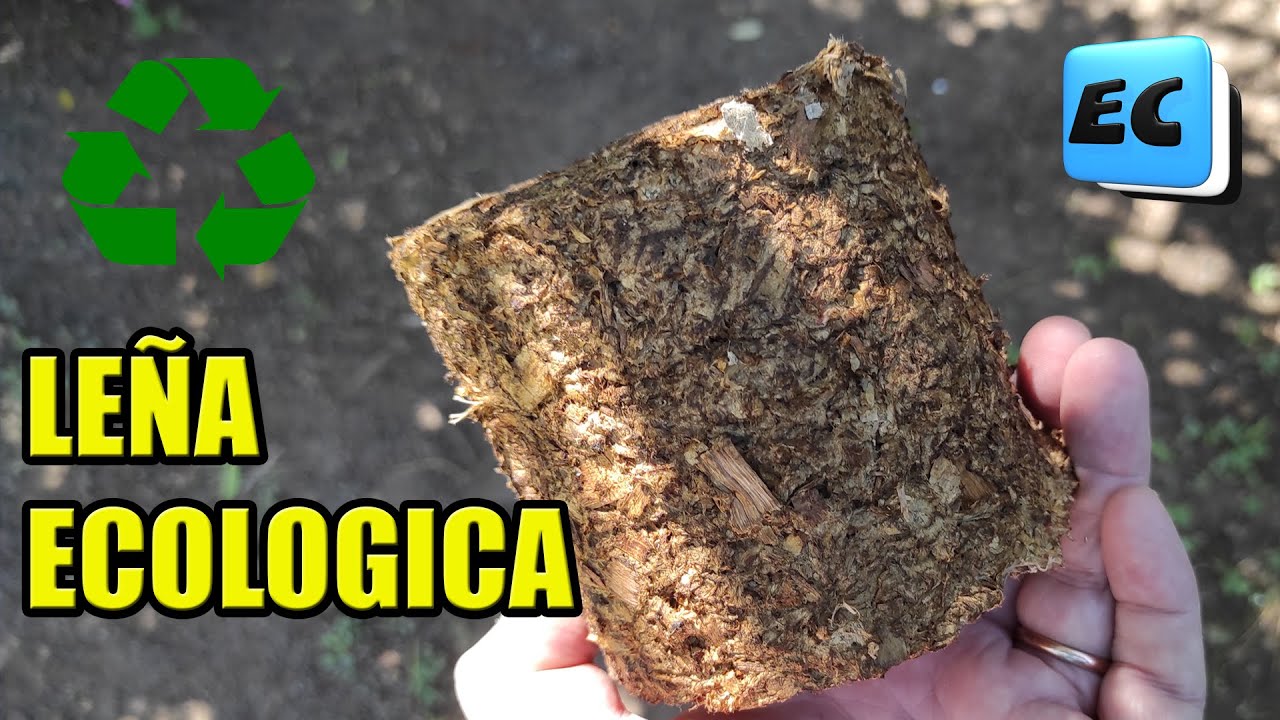 😲COMO HACER LEÑA CON PAPEL Y VIRUTA . LEÑA ECOLOGICA